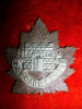 C50 - Fort Garry Horse Regiment 1st Type Cap Badge